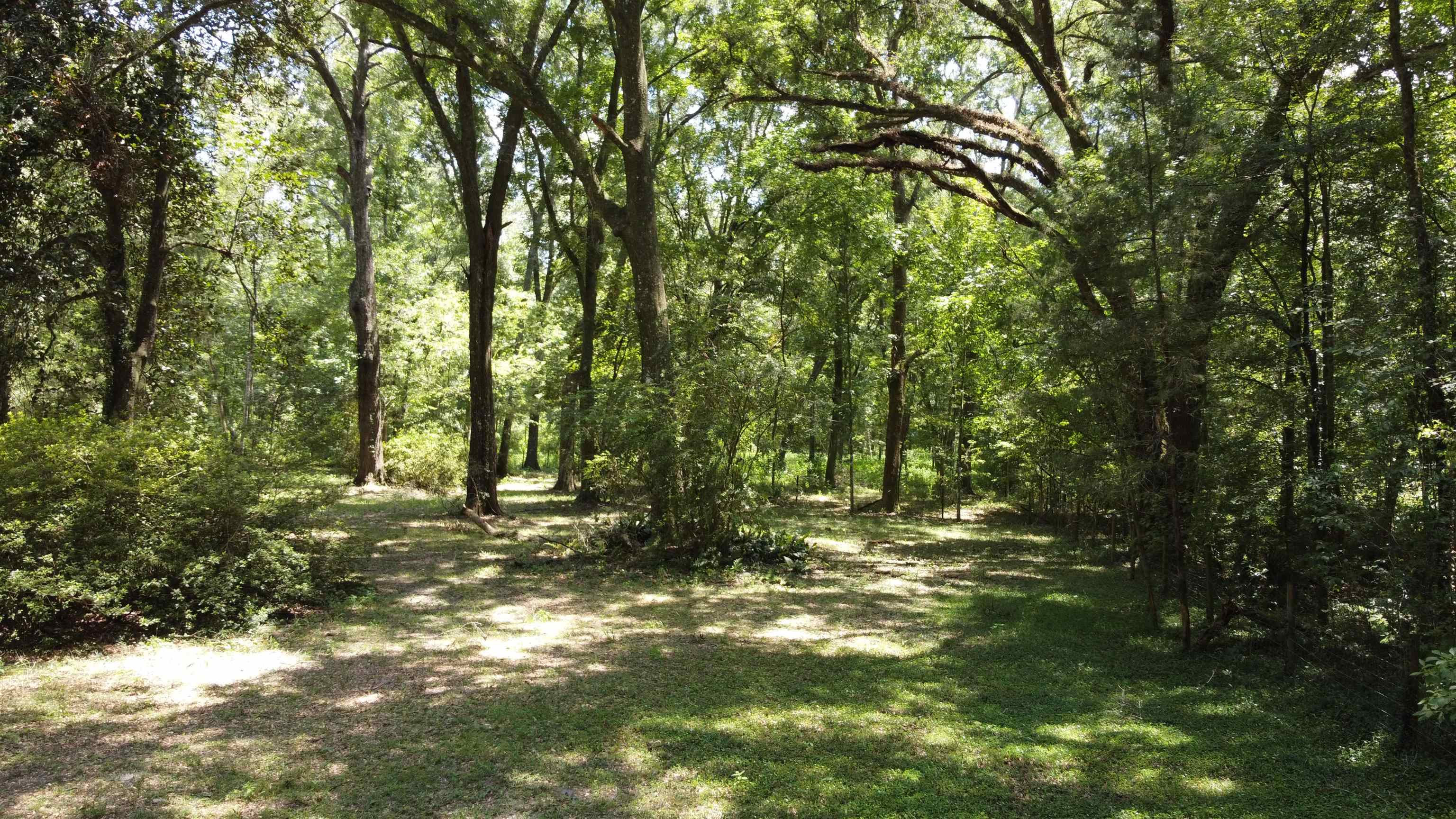 17268 181st Loop Live Oak, FL 32060 - Photo 9 of 55