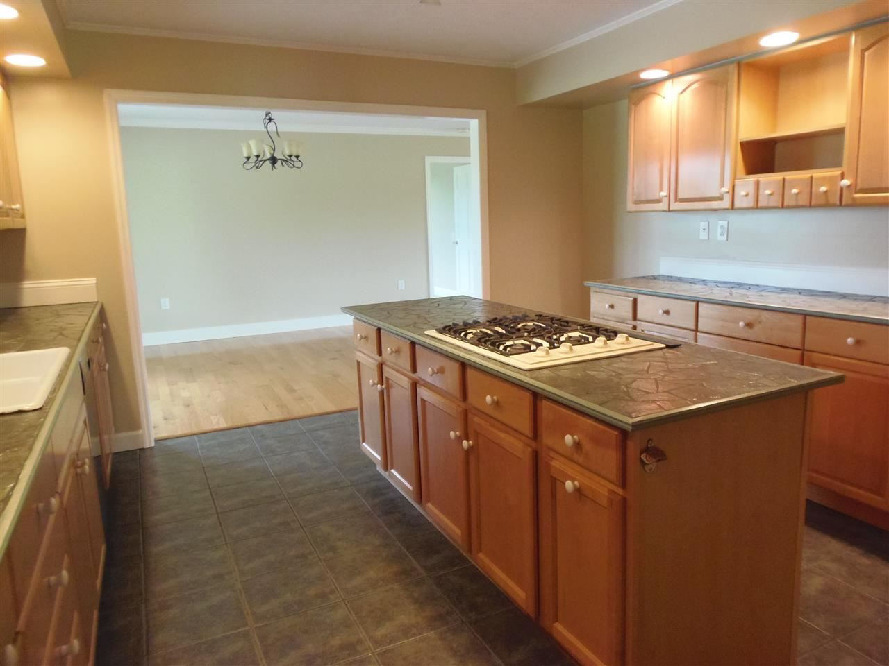 1379 Horry Road Aynor, SC 29511 - Photo 3 of 24 Gallery Image 3