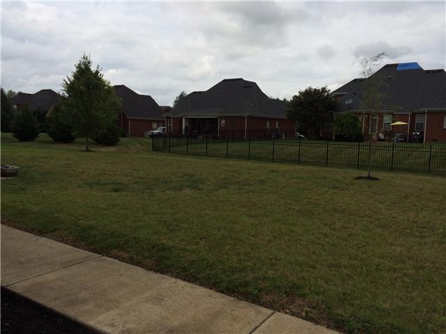 5414 Sherrington Road Murfreesboro, TN 37128 - Photo 8 of 10 big functional back yard awaits