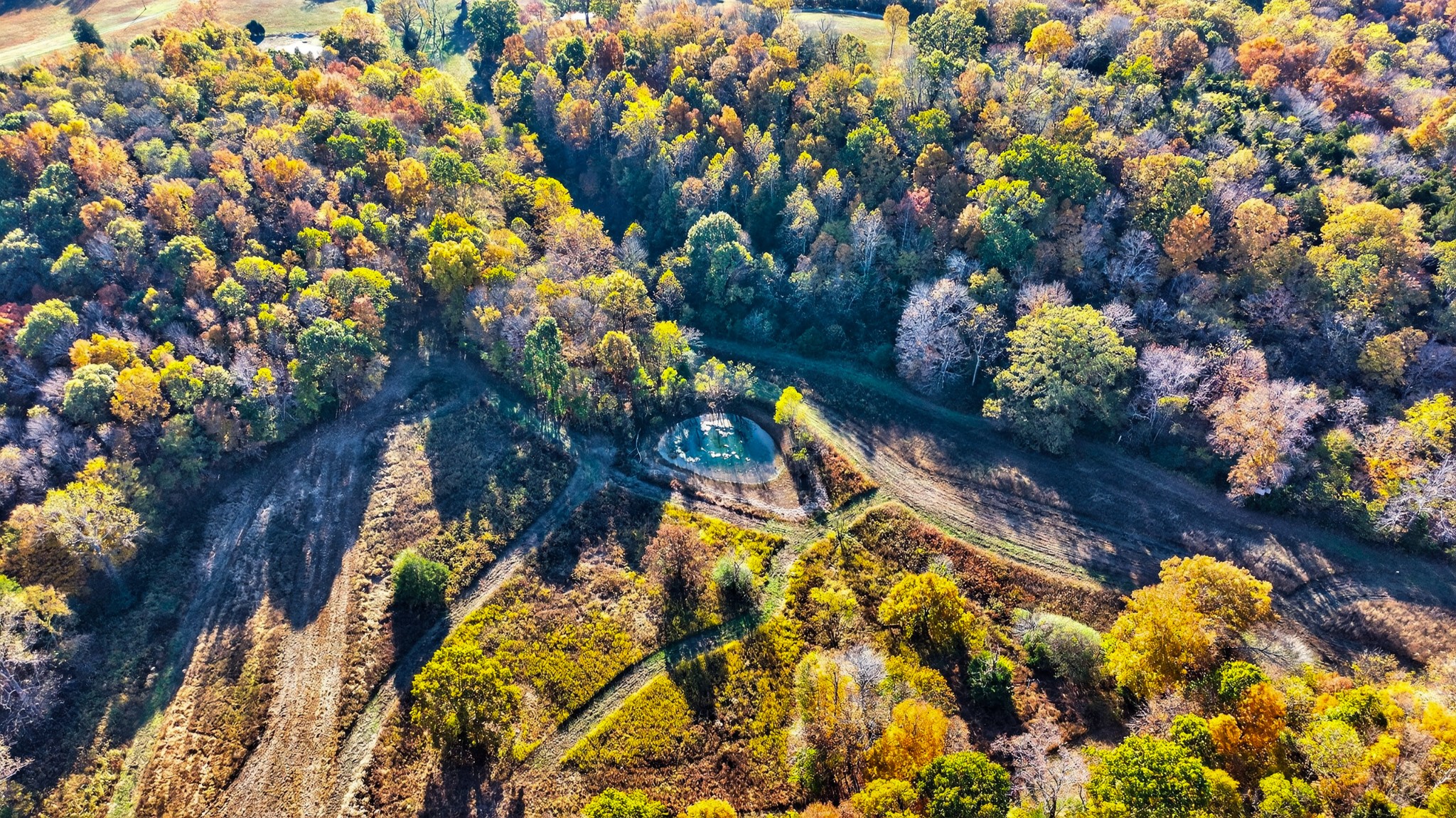 0 County House Road Cottontown, TN 37048 - Photo 12 of 27 a picture of flowers