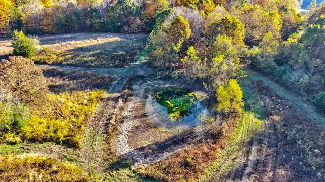 a view of yard and mountain view