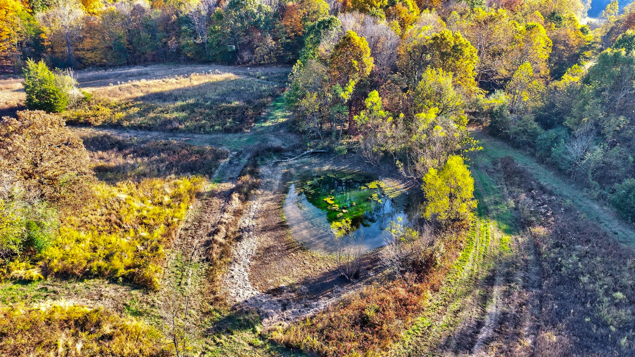 0 County House Road Cottontown, TN 37048 - Photo 13 of 27 a view of a garden with plants and trees