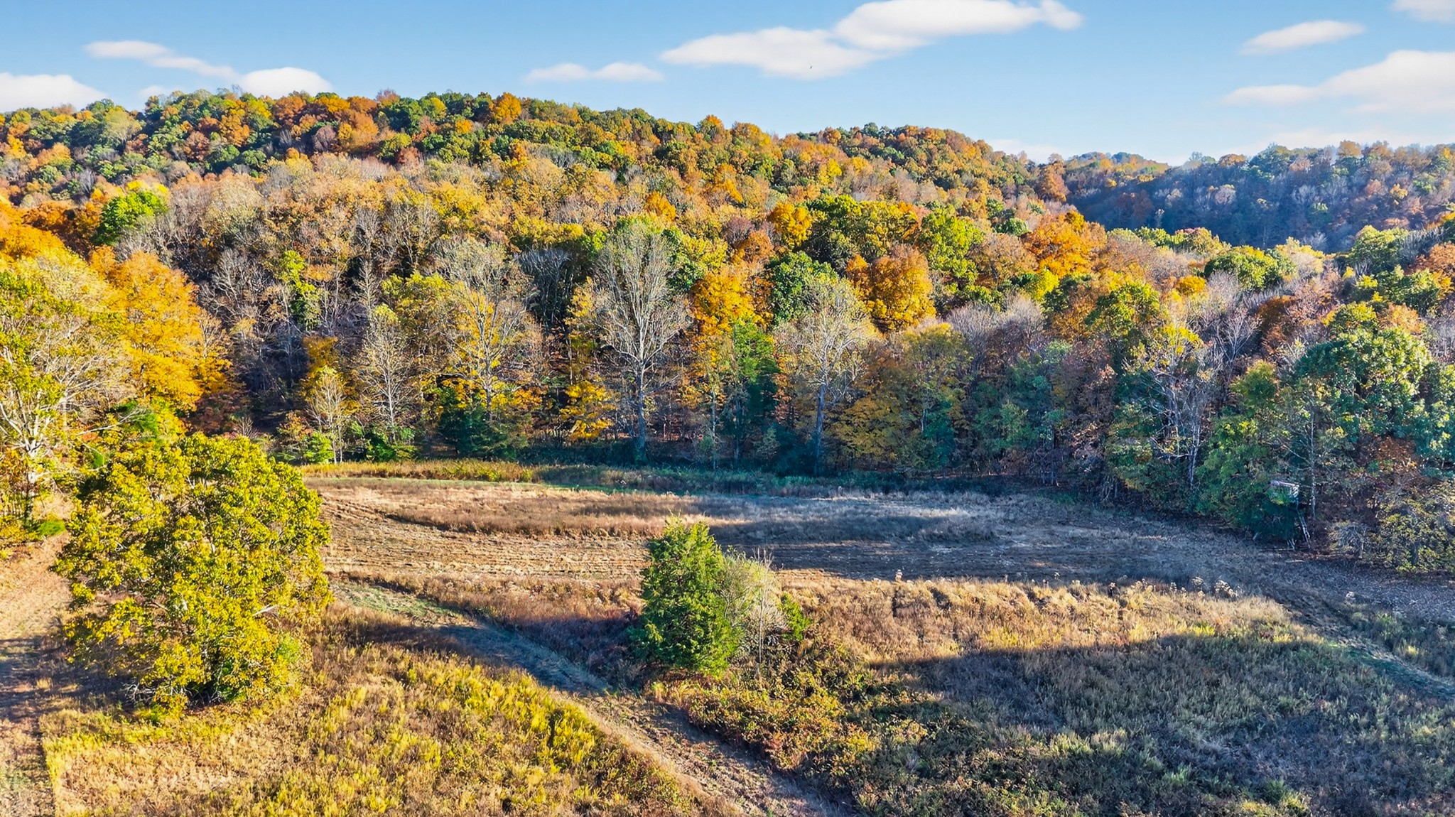 0 County House Road Cottontown, TN 37048 - Photo 15 of 27 a view of yard and mountain view
