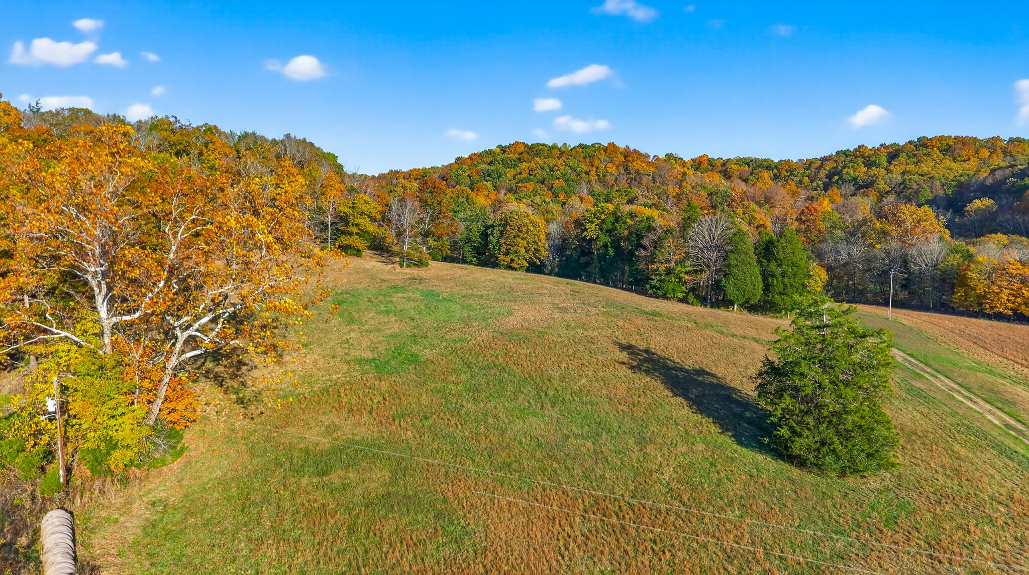 0 County House Road Cottontown, TN 37048 - Photo 19 of 27 a view of a yard