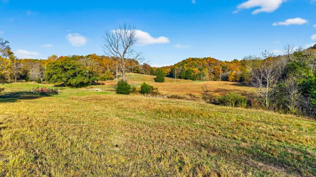 a view of a yard with an outdoor space