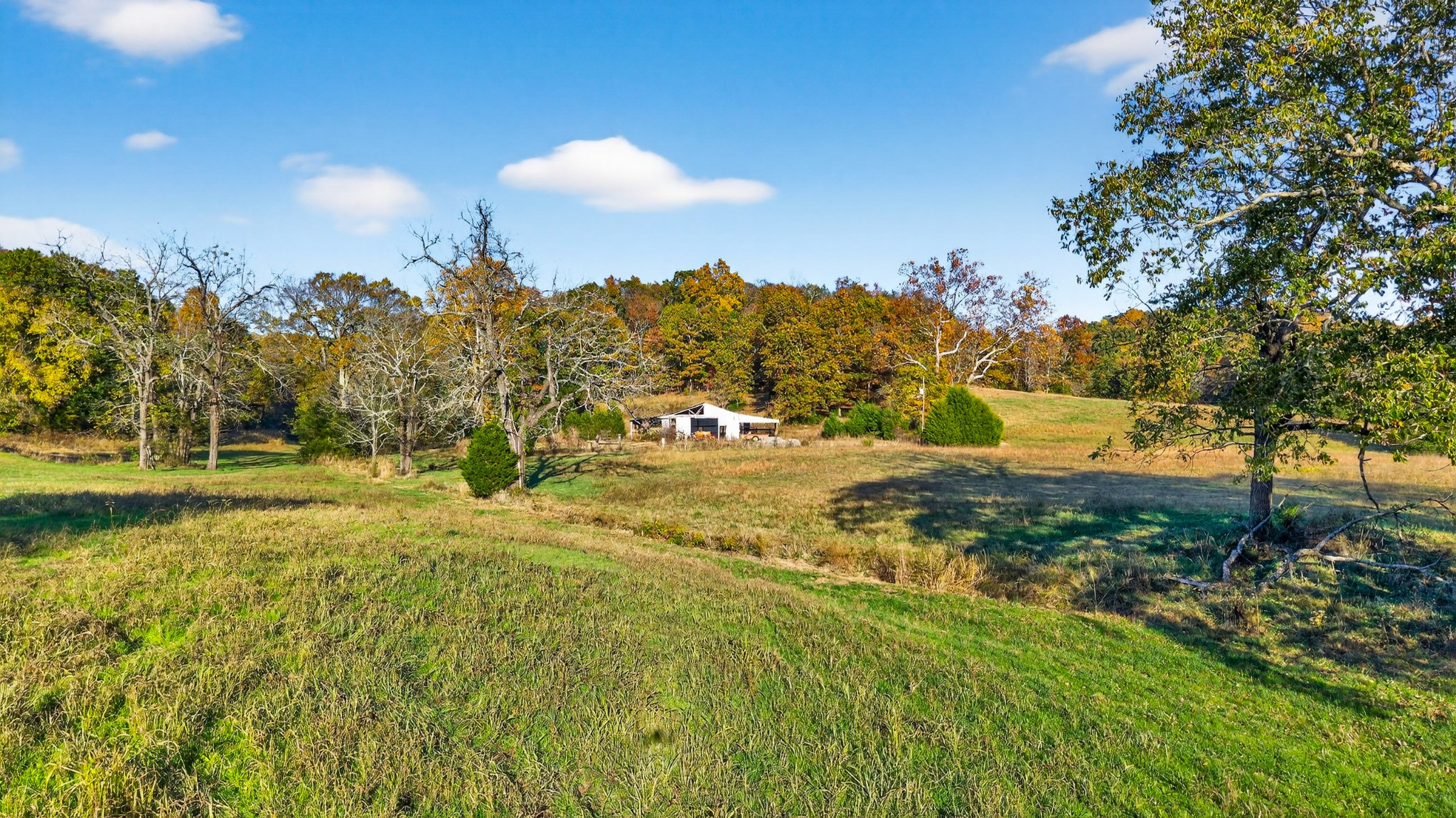 0 County House Road Cottontown, TN 37048 - Photo 21 of 27 a view of yard with green space