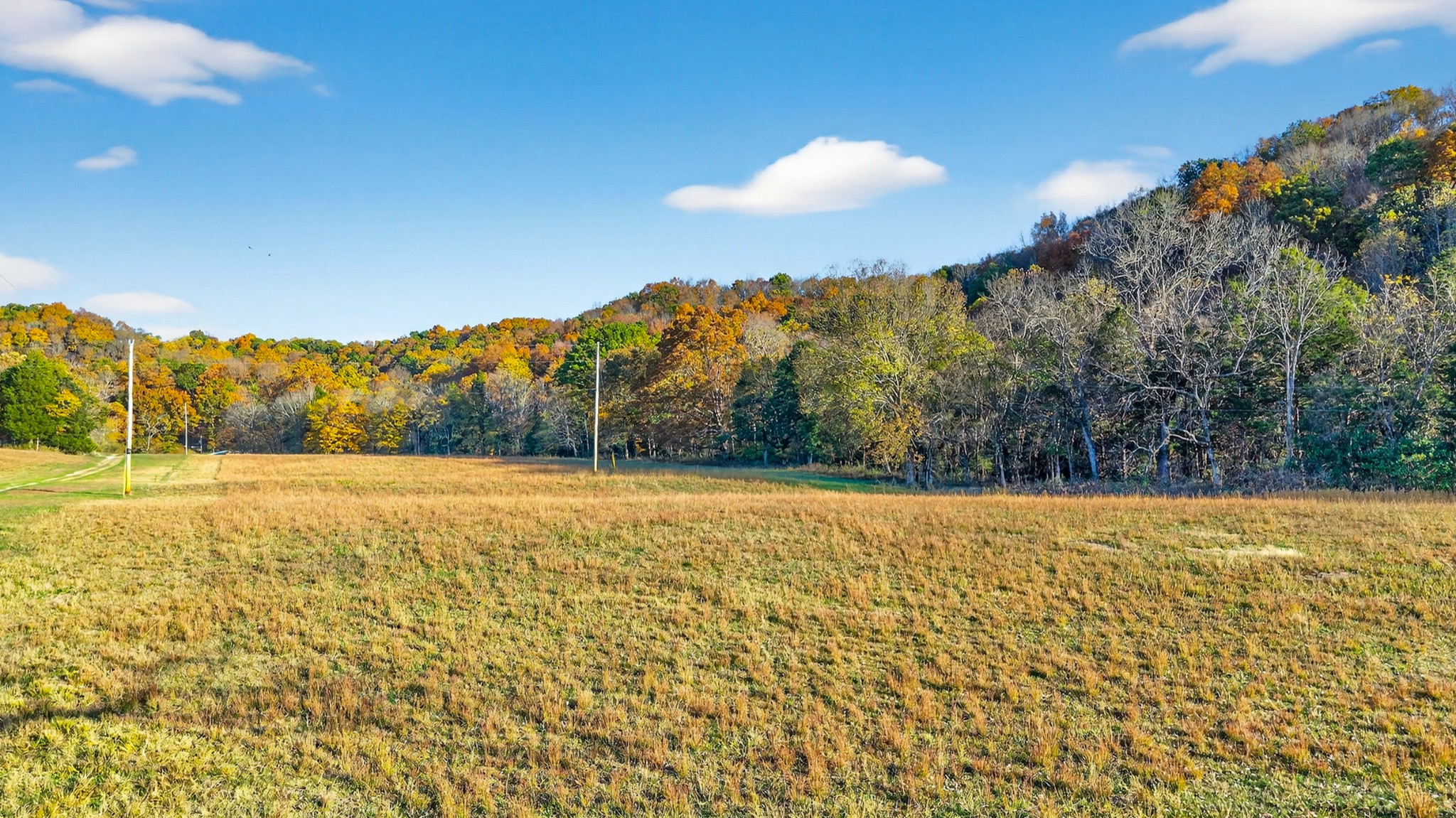 0 County House Road Cottontown, TN 37048 - Photo 22 of 27 a view of an outdoor space and a yard
