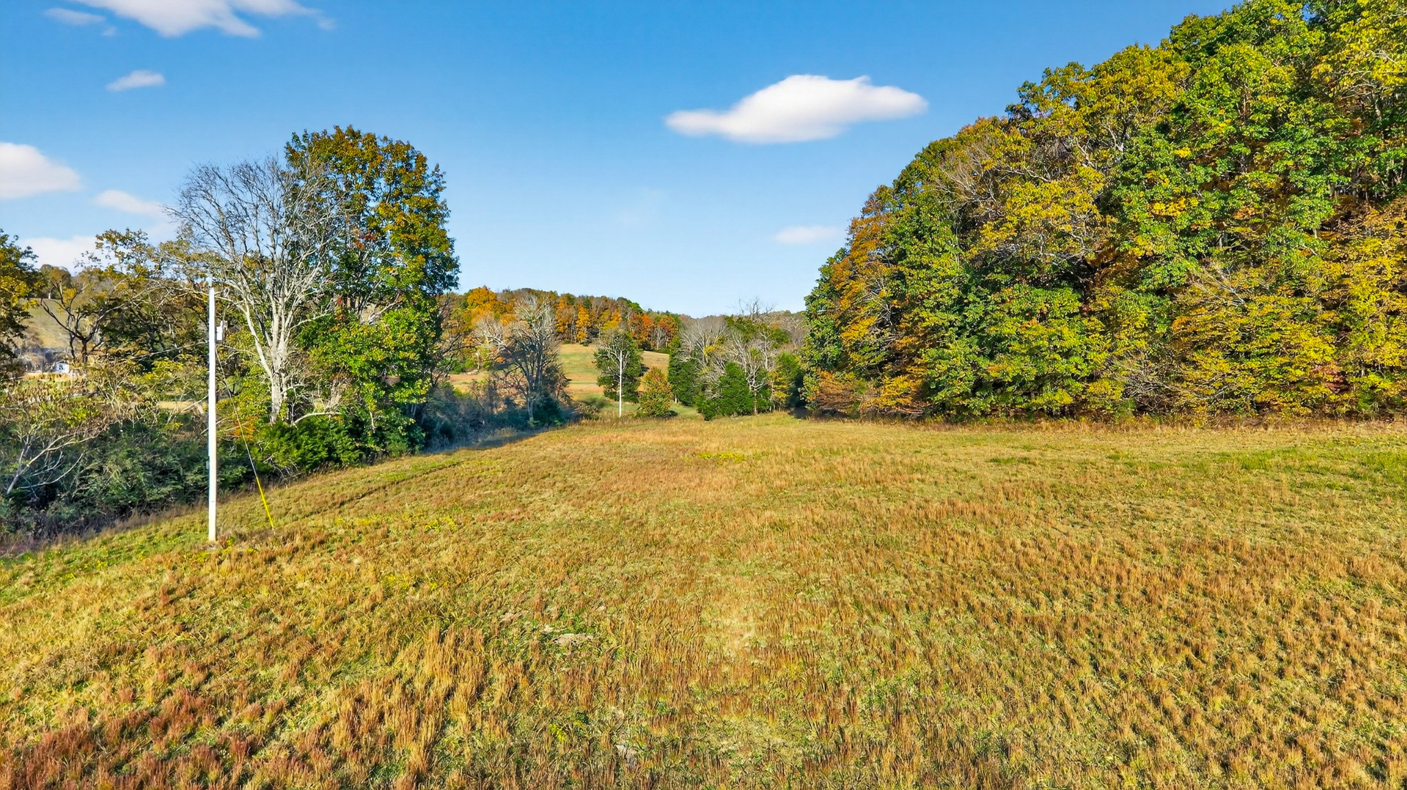 0 County House Road Cottontown, TN 37048 - Photo 23 of 27 a view of a yard with an outdoor space
