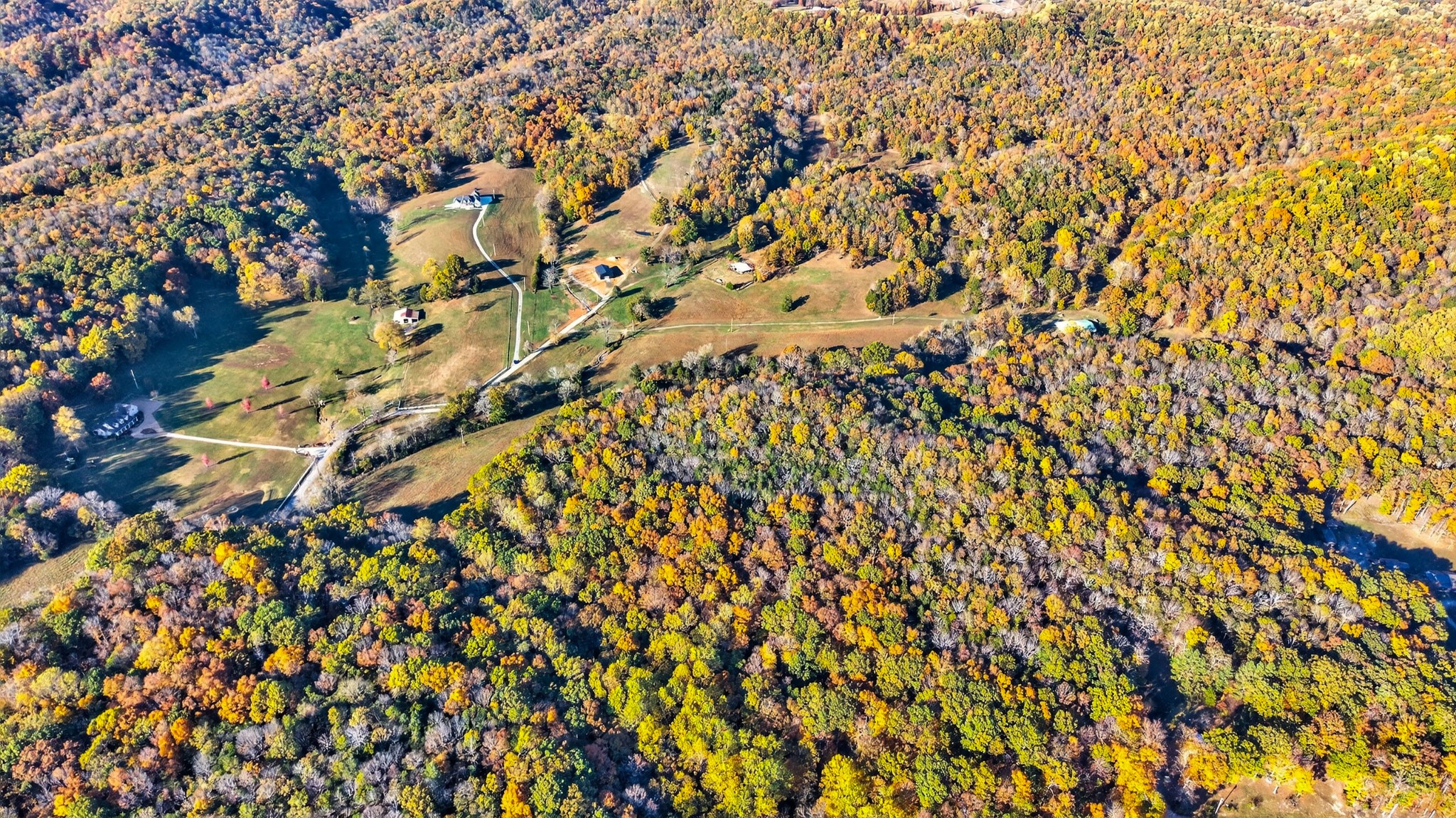0 County House Road Cottontown, TN 37048 - Photo 27 of 27 a picture of tree
