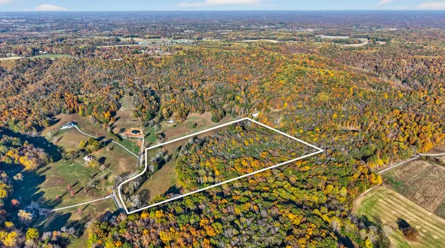 a view of a yard with an trees