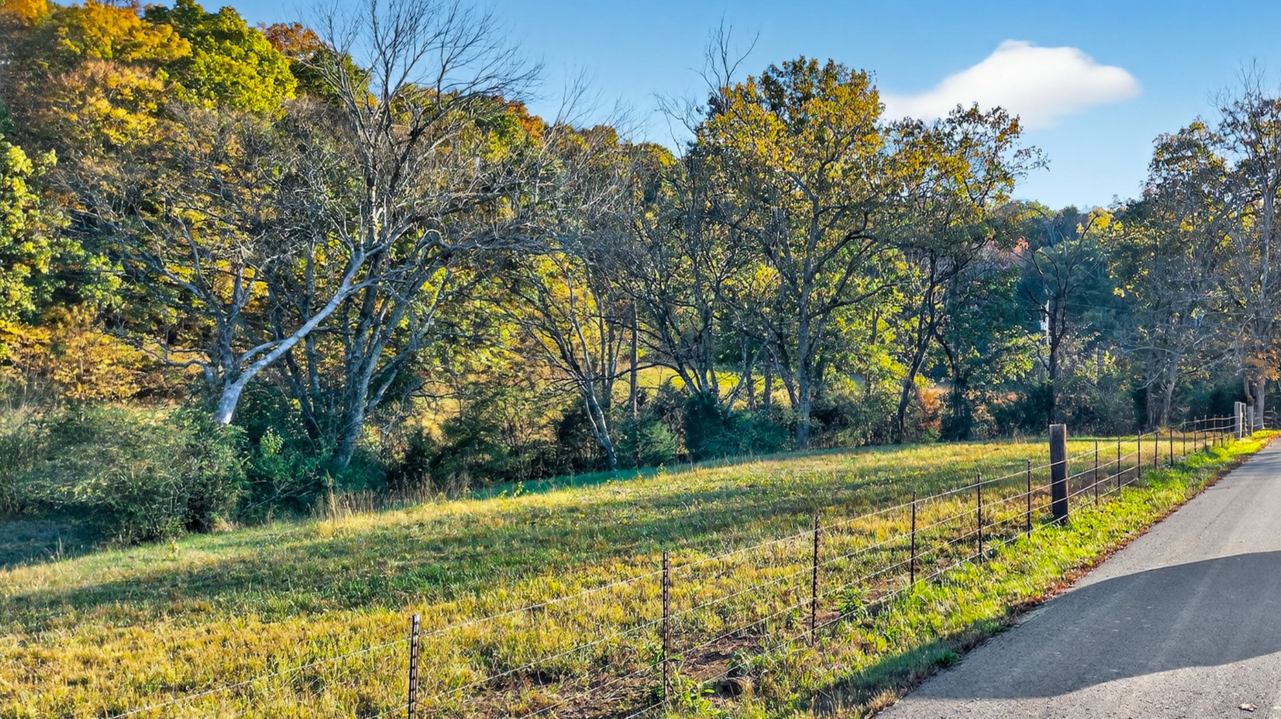 0 County House Road Cottontown, TN 37048 - Photo 4 of 27 a view of a yard with an trees