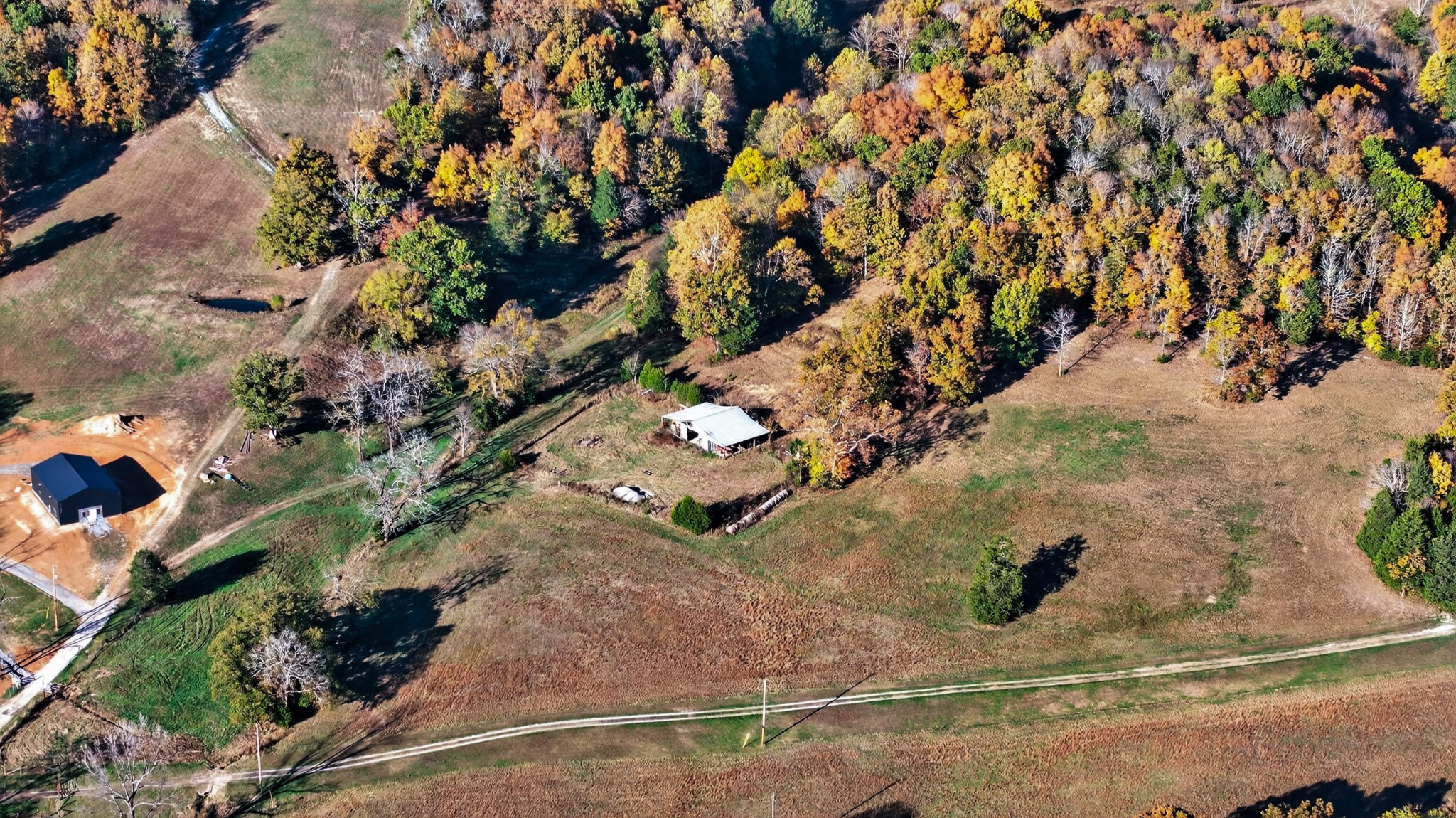 0 County House Road Cottontown, TN 37048 - Photo 8 of 27 a view of a tree in a yard