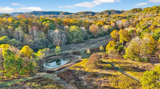 a picture of flowers
