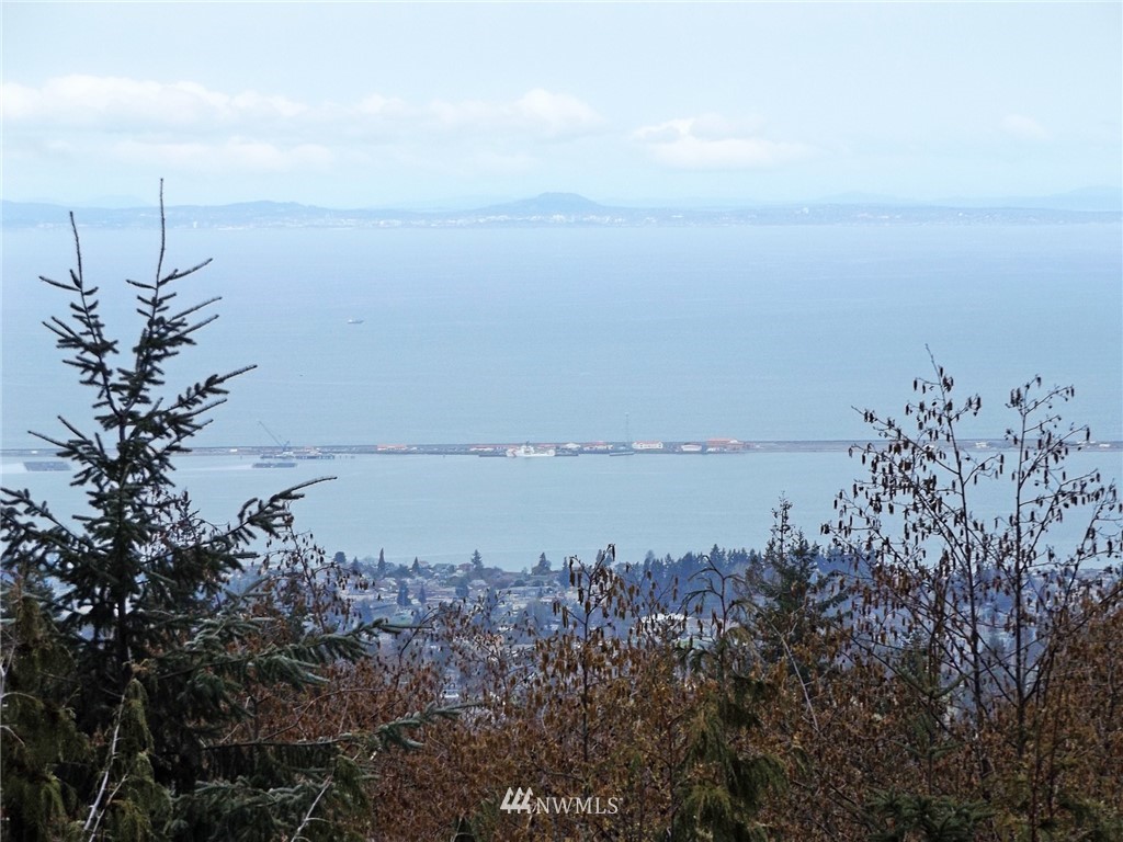 624 East Angeles Ridge Road Port Angeles, WA 98362 - Photo 3 of 25 Gallery Image 3