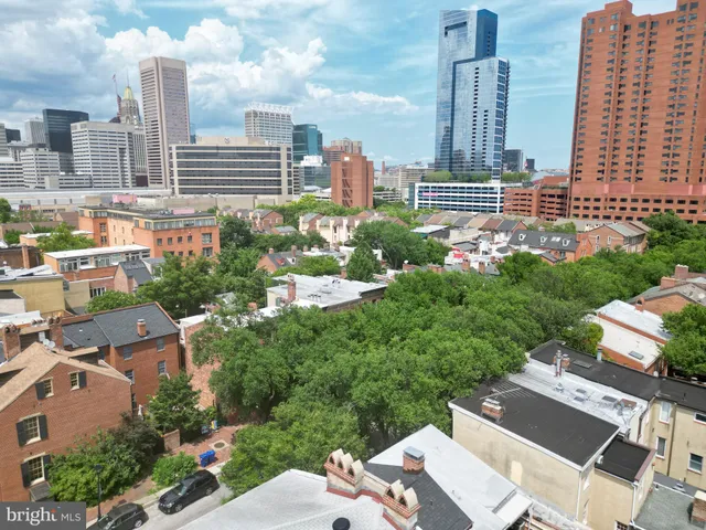 an aerial view of a house with a yard and a large tree