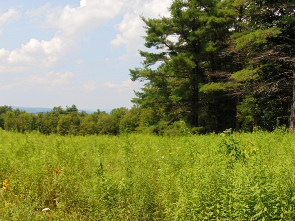 3184 Waits Road Owego, NY 13827 - Photo 8 of 18
