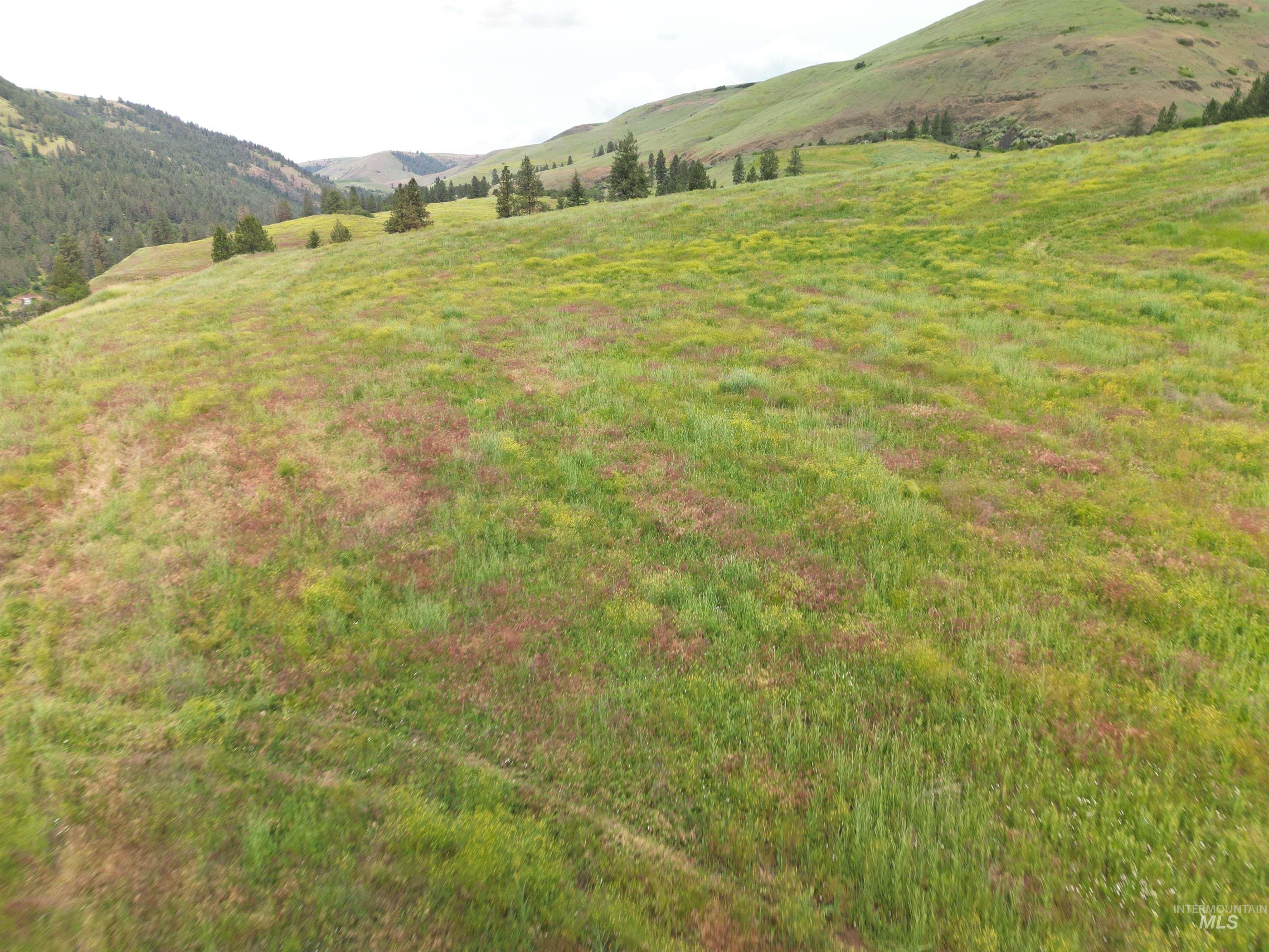 0 American Ridge Road Kendrick, ID 83537 - Photo 7 of 21
