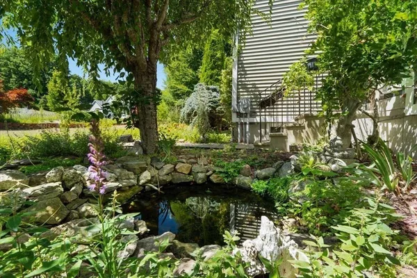 a view of a garden with plants
