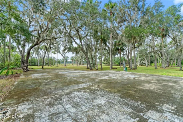a view of a park with large trees