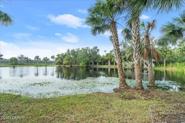 a yard with lots of green space and trees