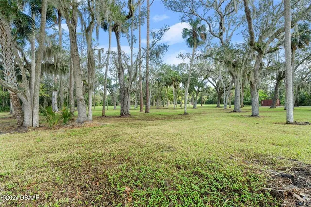 a view of outdoor space with trees