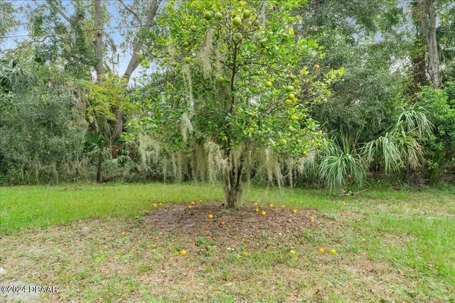 a view of a water pond with green yard