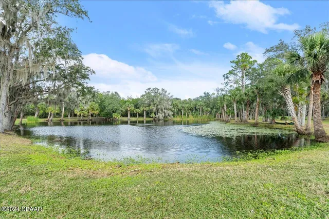 a view of a plant with lots of bushes