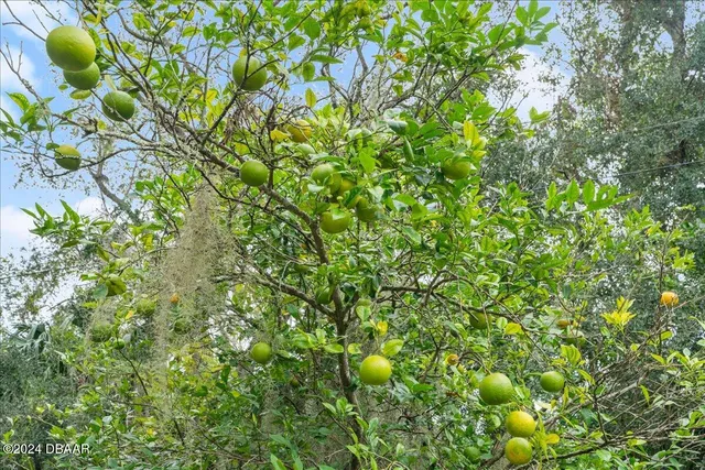 a view of lake and green valley