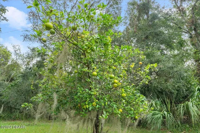 a view of a lake view