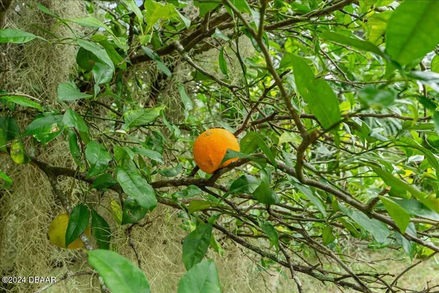 a view of a golf course