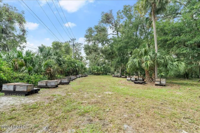 a view of outdoor space with trees