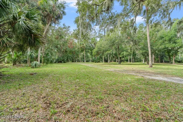 a view of a trees with a yard