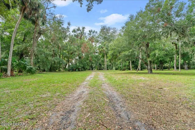 a huge green field with lots of trees