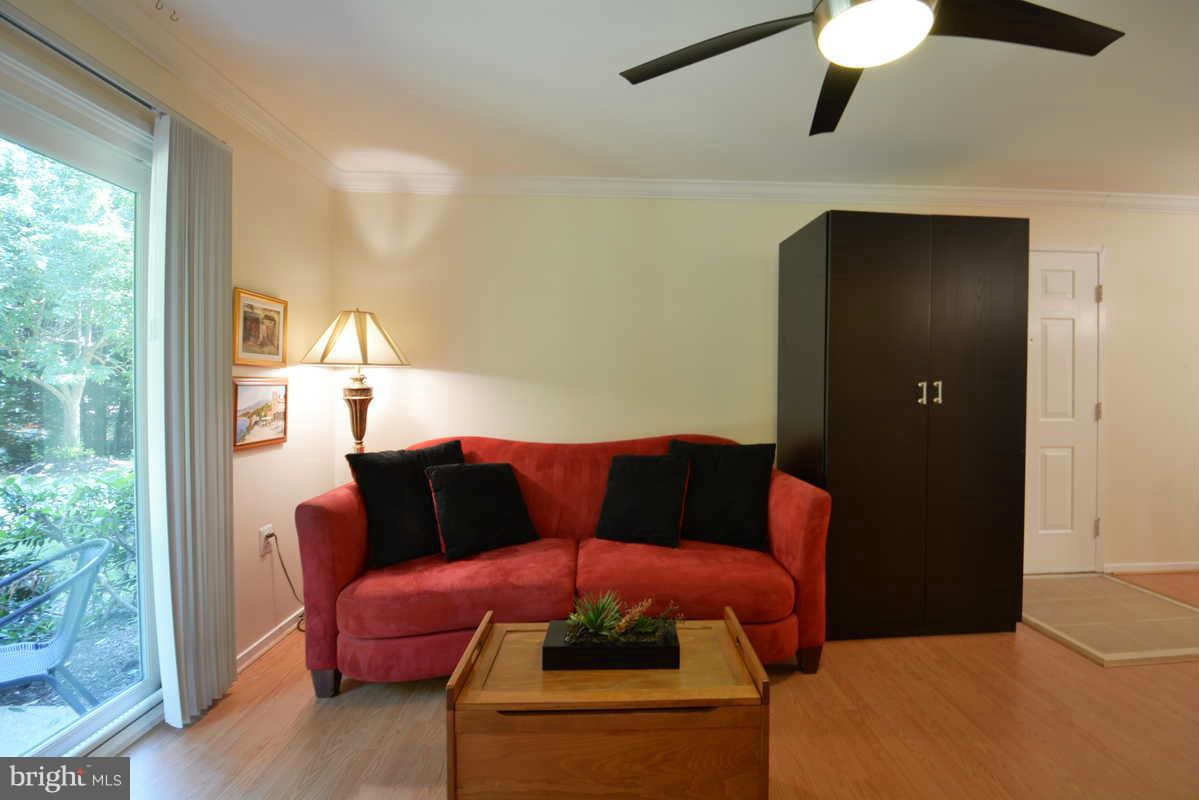 7702 Lexton Place, Unit A Springfield, VA 22152 - Photo 11 of 22 a living room with furniture and a potted plant