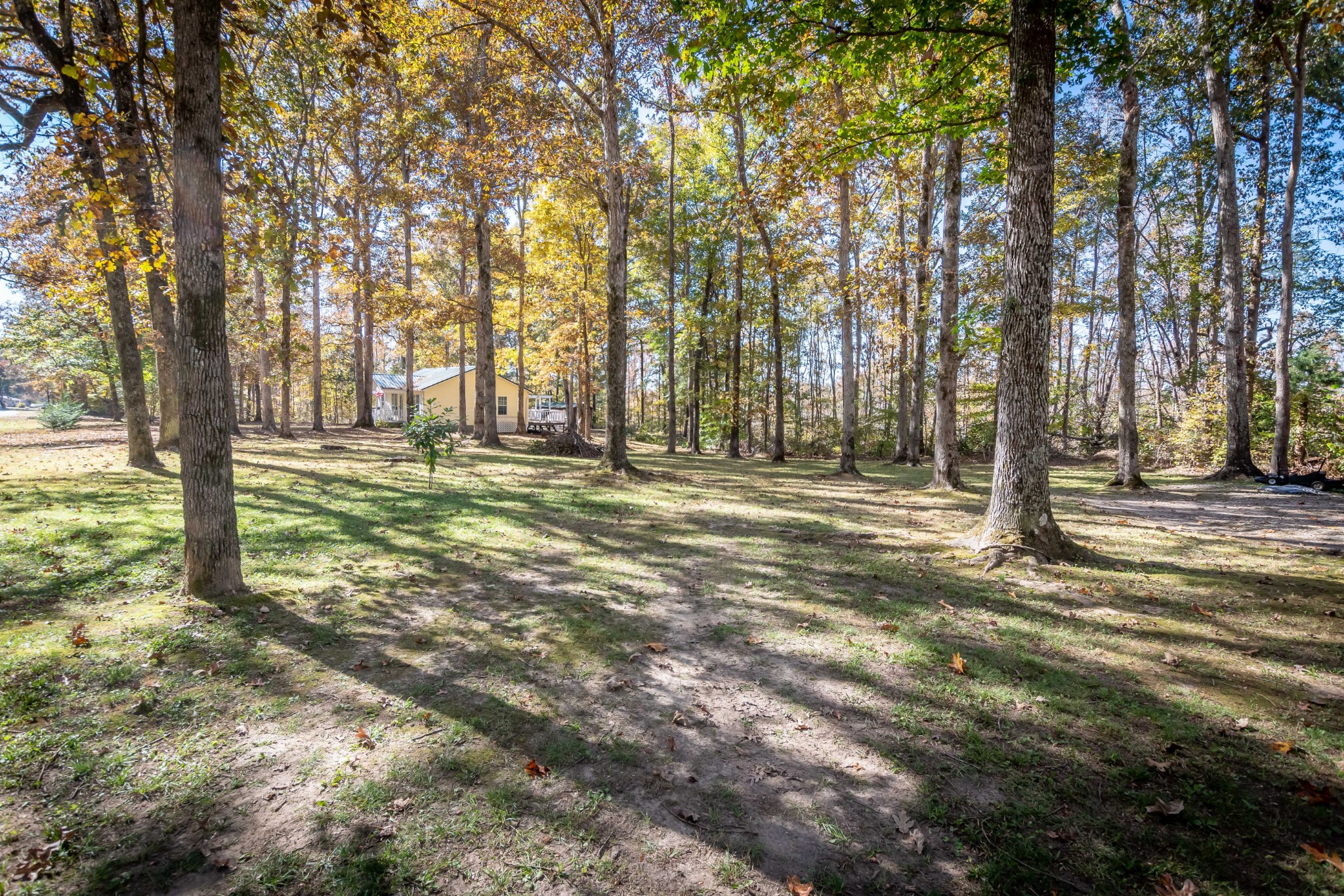 3446 Dunbar Road Decaturville, TN 38329 - Photo 28 of 41 Gallery Image 28