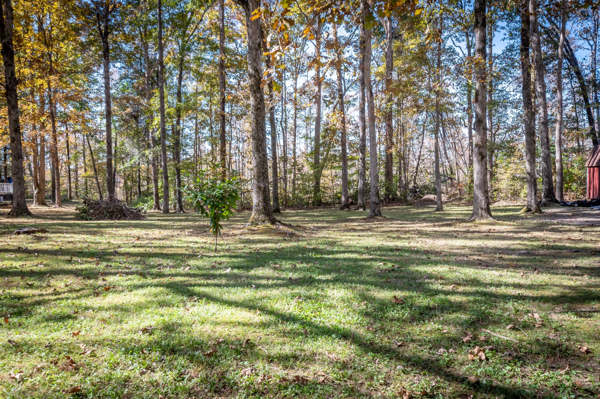 3446 Dunbar Road Decaturville, TN 38329 - Photo 32 of 41 Gallery Image 32