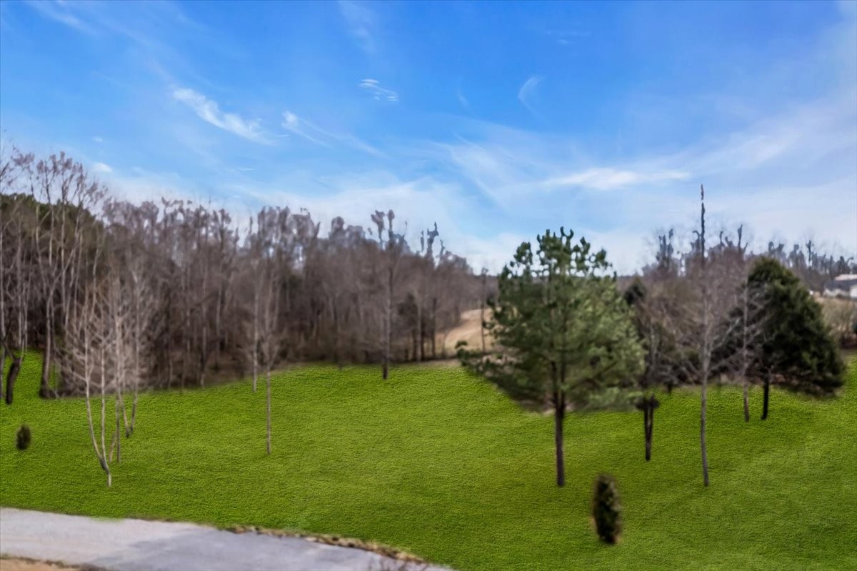 266 Cedar Ridge Lane Smithville, TN 37166 - Photo 73 of 92 Gallery Image 73