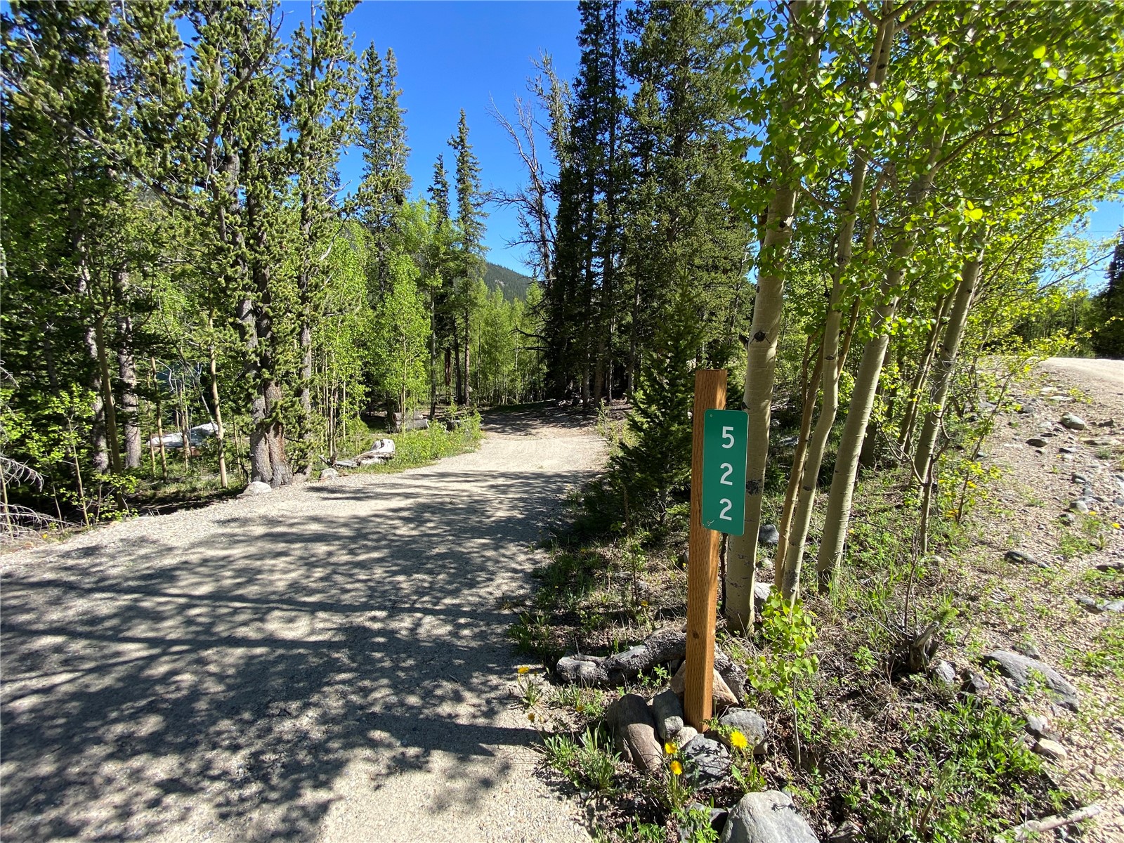 522 Quartzville Road Alma, CO 80420 - Photo 15 of 46