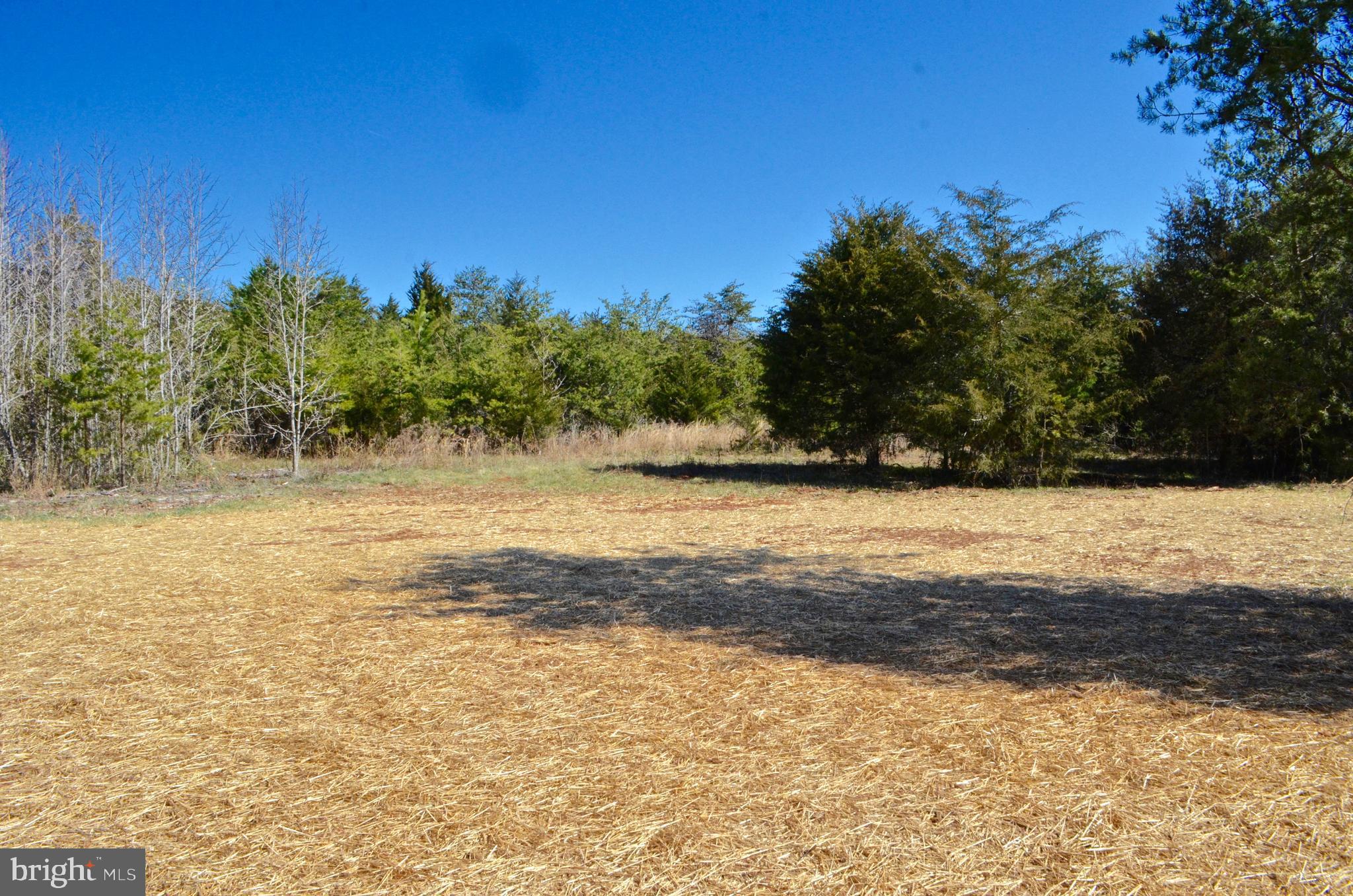 30 White Walnut Road Louisa, VA 23093 - Photo 65 of 84 Gallery Image 65