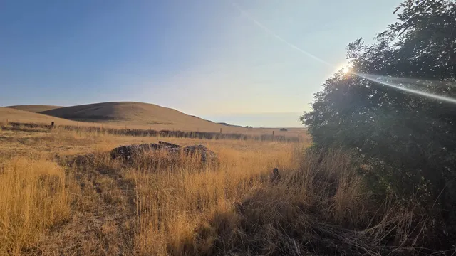 $349,900 | 908 Garfield Street, Lamont, WA 99017