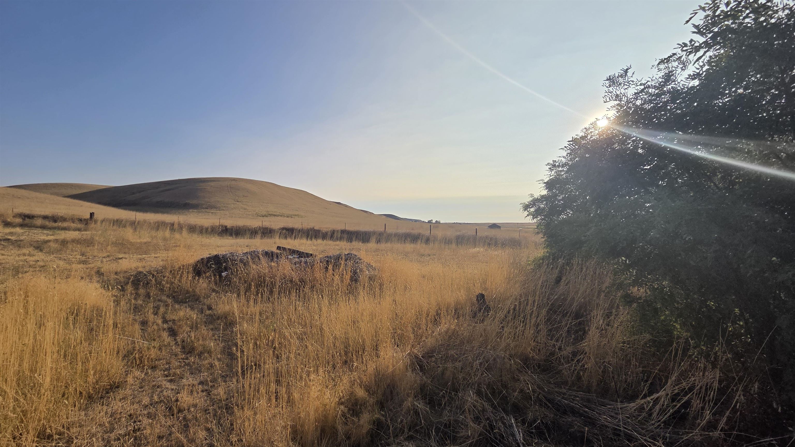 908 Garfield Street Lamont, WA 99017 - Photo 2 of 10
