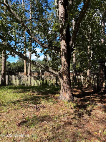 a view of yard with trees