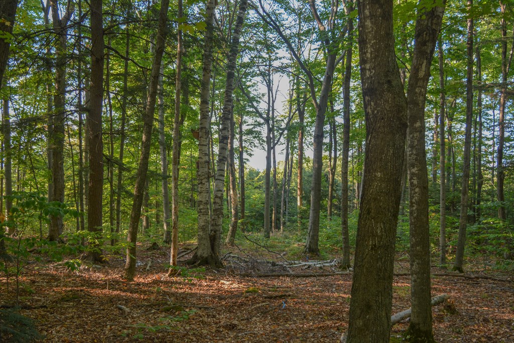 Bluff Pass Egg Harbor, WI 54209 - Photo 5 of 11