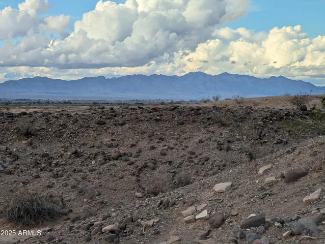a view of a bunch of trees and sky view