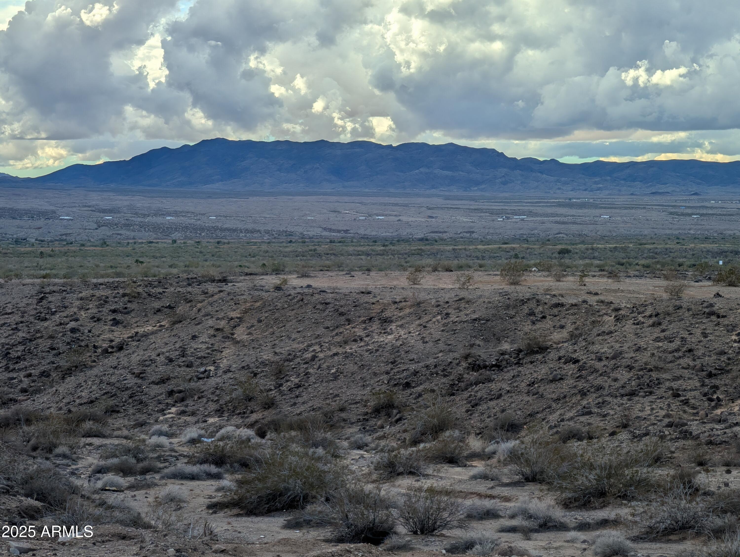13313 Alturas Road, Unit 8 Golden Shores, AZ 86436 - Photo 4 of 4 a view of a yard