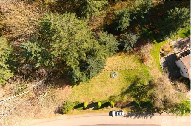 a view of a yard with trees