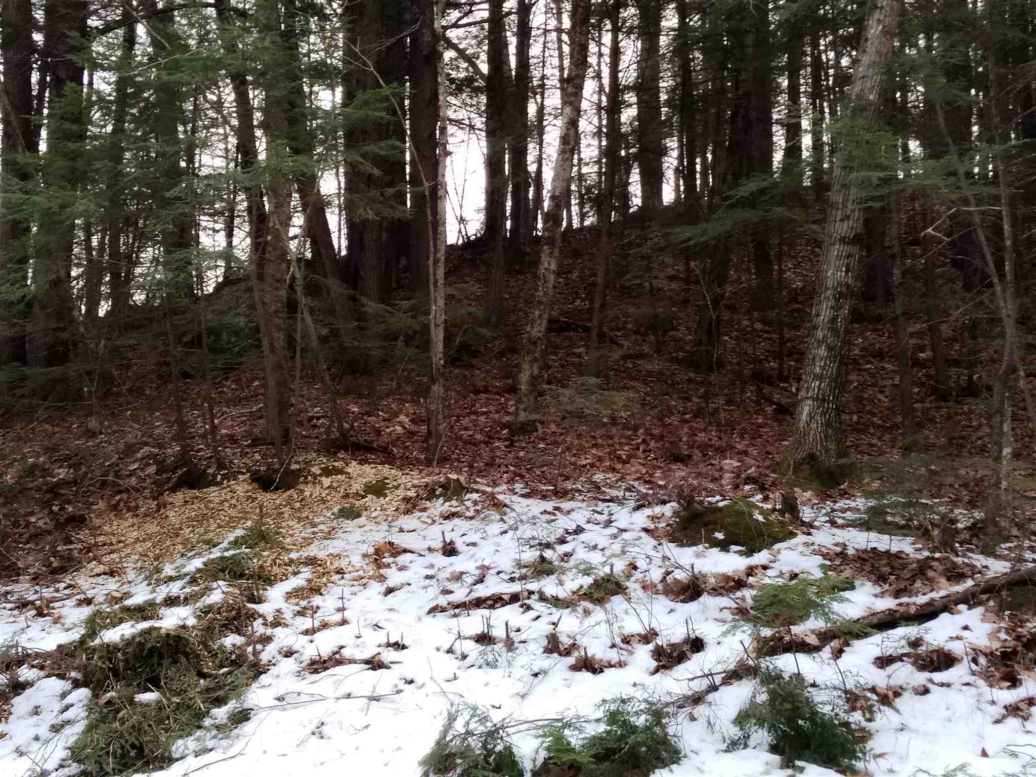 Lot 414-11 Durrell Road Tamworth, NH 03886 - Photo 11 of 40 Gallery Image 11