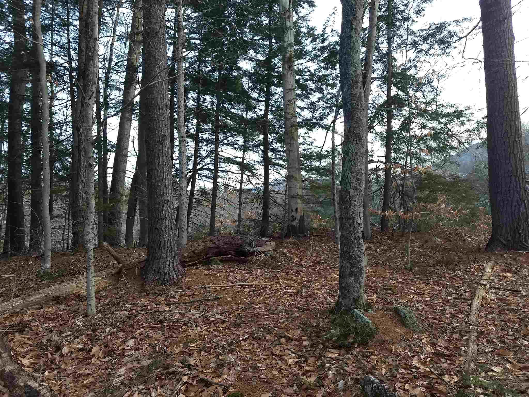 Lot 414-11 Durrell Road Tamworth, NH 03886 - Photo 13 of 40 Gallery Image 13