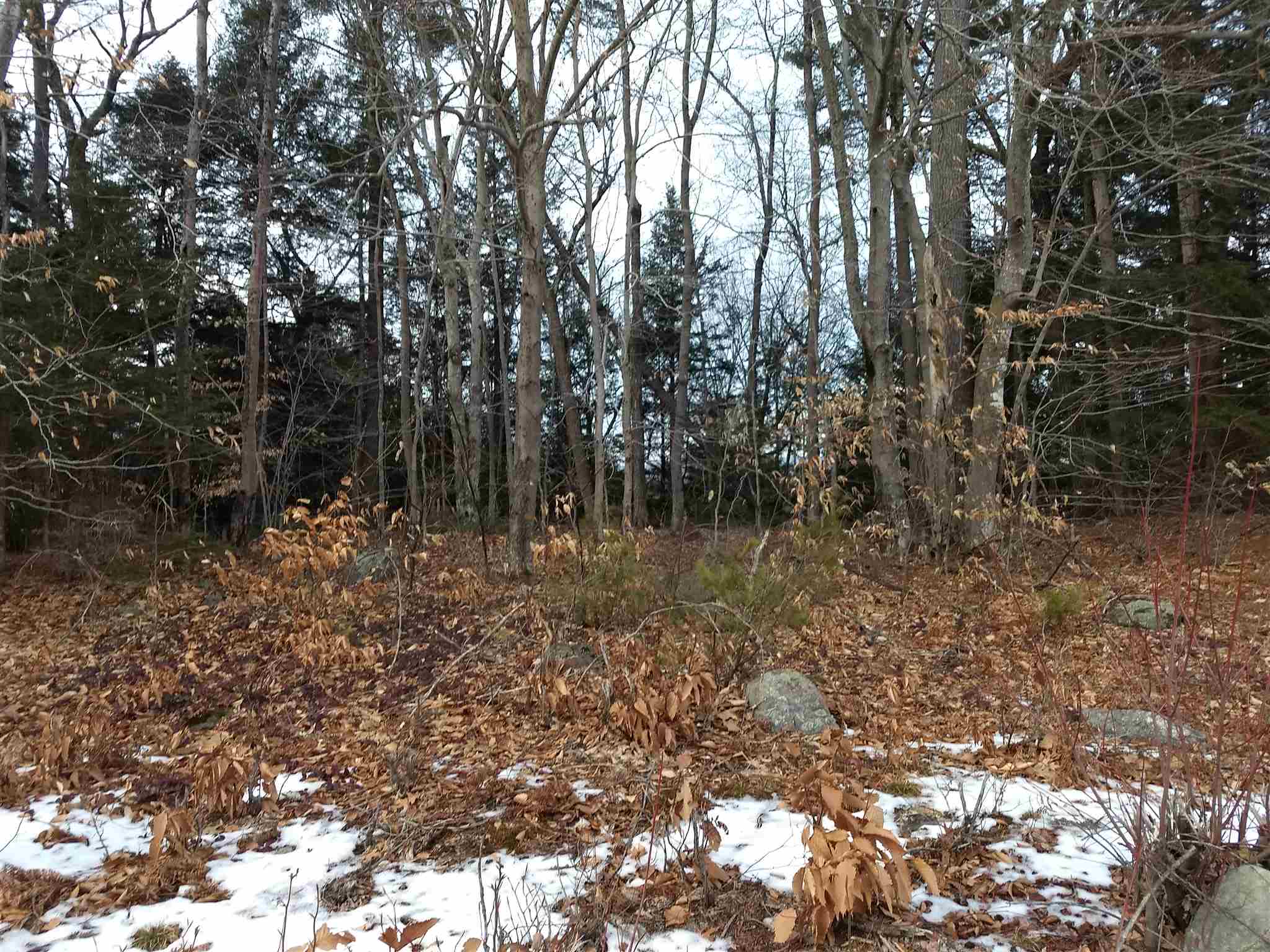 Lot 414-11 Durrell Road Tamworth, NH 03886 - Photo 14 of 40 Gallery Image 14