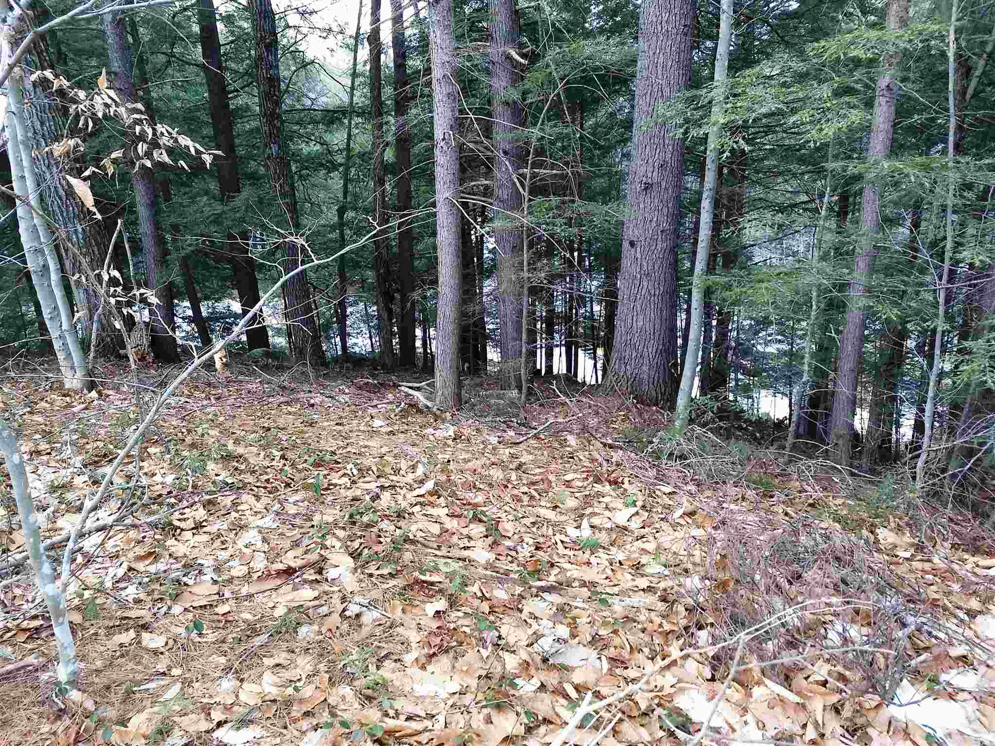 Lot 414-11 Durrell Road Tamworth, NH 03886 - Photo 17 of 40 Gallery Image 17